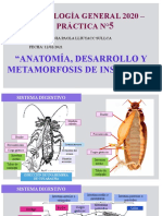 LLIUYACC.T. - Práctica 05 PDF