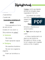 Resumo Staphylococcus