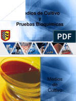 Medios de Cultivo y Pruebas Bioquímicas