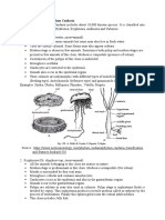 The Classification of Phylum Cnidaria