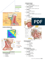 HSB - Neck: Anterior Triangle