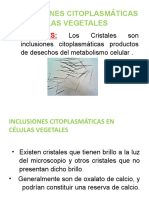 Clase 6 Cristales