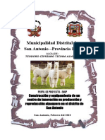 Proyecto Int - Alpacas 2010