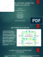 Presebtacion Cuenta de Activos Sobre Recursos Acuaticos