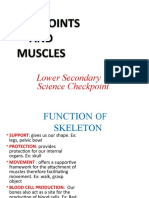 Bones, Joints and Muscles