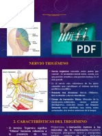 1.3 Nervio Trigémino y Su Relación Con Las Técnicas de Anestesia Local22 Completo