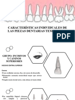 14 Características Individuales de Las Piezas Dentarias Temporales