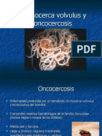 Onchocerca Volvulus y Oncocercosis