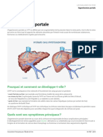 Hypertension Portale