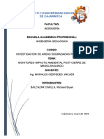 Informe Shauindo