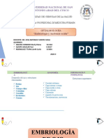 Embriologia y Anatomia Ocular