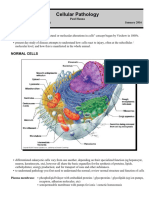 Cellular Pathology: Normal Cells