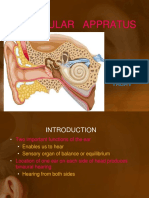 Vestibular Appratus: BY: Harshita Yadav