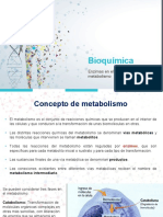 Metabolismo y Enzimas