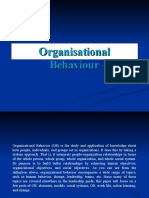 Organisational Behaviour