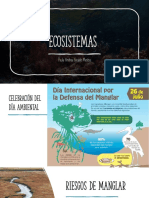 Ecosistemas 