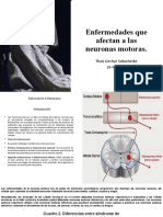 Enfermedades Que Afectan A Las Neuronas Motoras