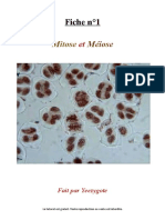 BDR - FICHE - Cours 1 Mitose Et Méiose