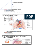 Heart Anatomy: Location