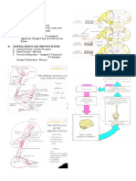 BASIC FUNCTIONS of SYNAPSES