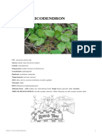 Rhus Toxicodendron