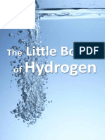 Little Book of Hydrogen