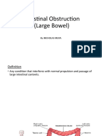 Large Bowel Obstruction by Nic M