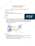 Guía: Neuronas Y Sistema Nervioso: Área de Lectura y Escritura