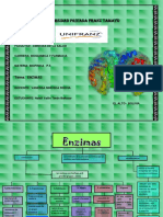 Mapa Conceptual de Las Enzimas