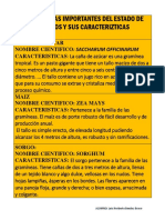 Cultivos Mas Importantes Del Estado de Morelos y Sus Caracterizticas