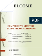 Paddy Straw Mushroom Cultivation Presentation