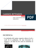 Caninos Retenidos