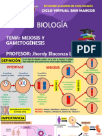 Biología - Meiosis y Gametogénesis - Semestral SM