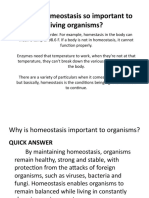 Why Is Homeostasis So Important To Living Organisms