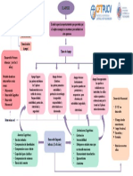 Mapa Conceptual APEGO