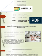 Auditoria Ambiental