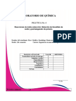 Practica 6 y 8 Redox