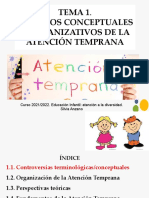 Tema 1 Aspectos Conceptuales y Organizativos de La AT (PARTE 1)