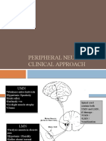 Peripheral Neuropathy Aida