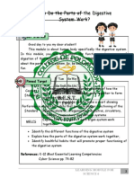 How Do The Parts of The Digestive System Work?: Lesson