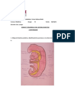 Cuestionario Desarrollo Del Aparato Digestivo