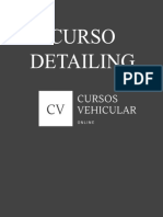 Curso Detailing