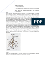 Elaboración de Ítems