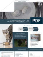 Alimentación de Los Gatos