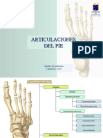 Articulaciones Del Pie PPT Share)