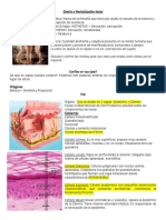 Resumen Diseño y Revitalización Facial