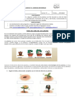 3B Guía N°9 Ciencias Naturales