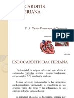 Endocarditis 2017