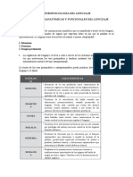 Bases Neuroanatomicas y Funcionales Del Lenguaje