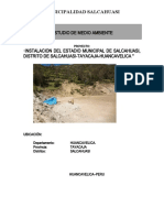 Informe ESTUDIO AMBIENTAL SALCAHUASI